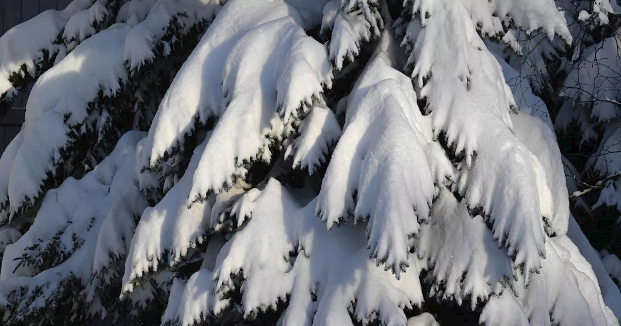 Much of Southcentral Alaska is in for weekend winter snowstorm