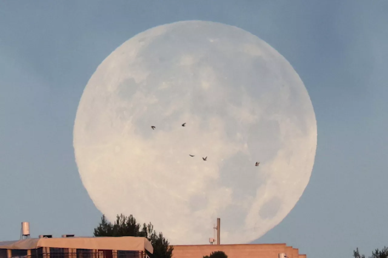 Beaver Moon, ultima superluna dell'anno sorge su Gerusalemme