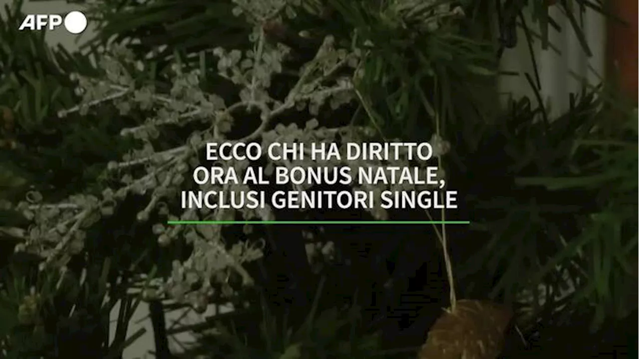 Ecco chi ha diritto ora al Bonus Natale, inclusi genitori single