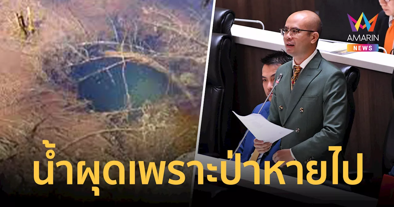 สส.นิติพล ชี้ น้ำผุดเชียงดาวหนักขึ้น หลังป่ากลายเป็นพื้นที่เกษตร