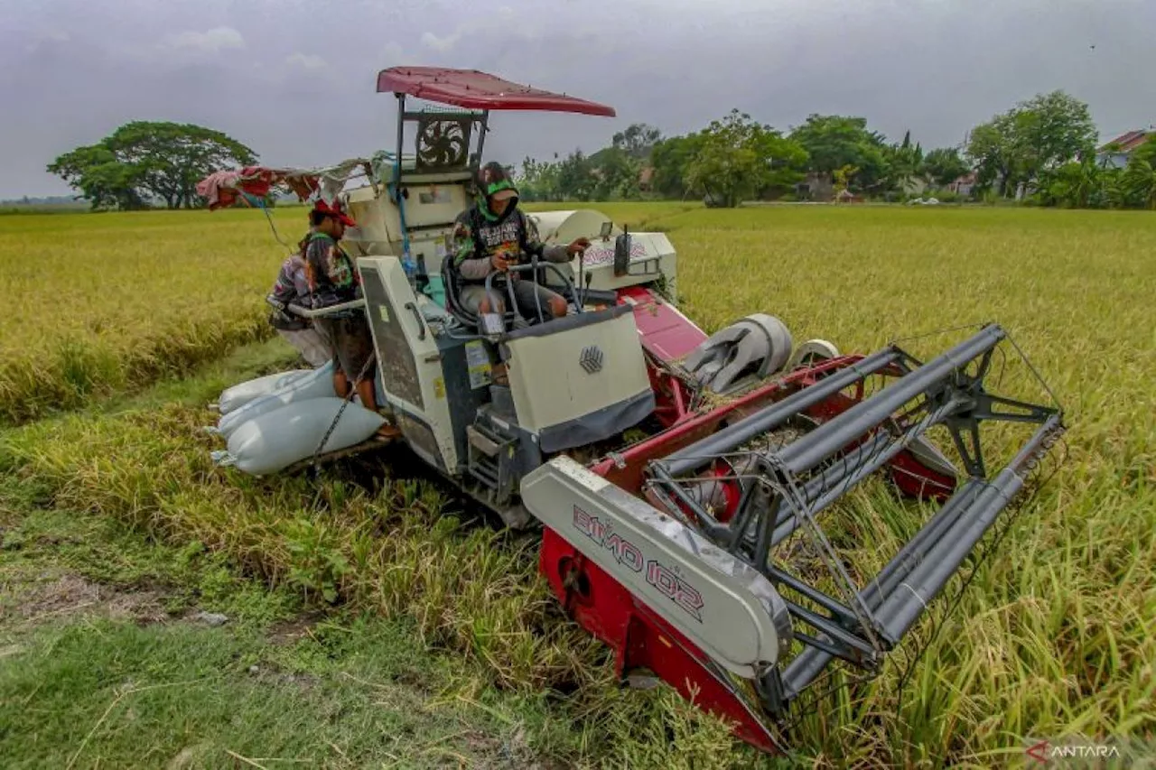 Relevansi dan urgensi swasembada pangan di Indonesia