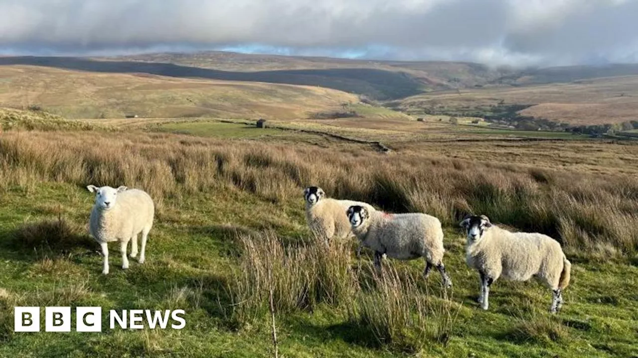 Yorkshire Dales National Park Authority celebrates 70 years