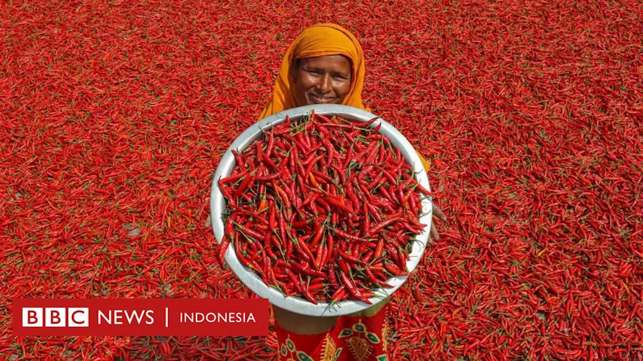 Kesehatan: Apakah cabai dan kunyit benar-benar bermanfaat bagi kesehatan dan daya tahan tubuh?