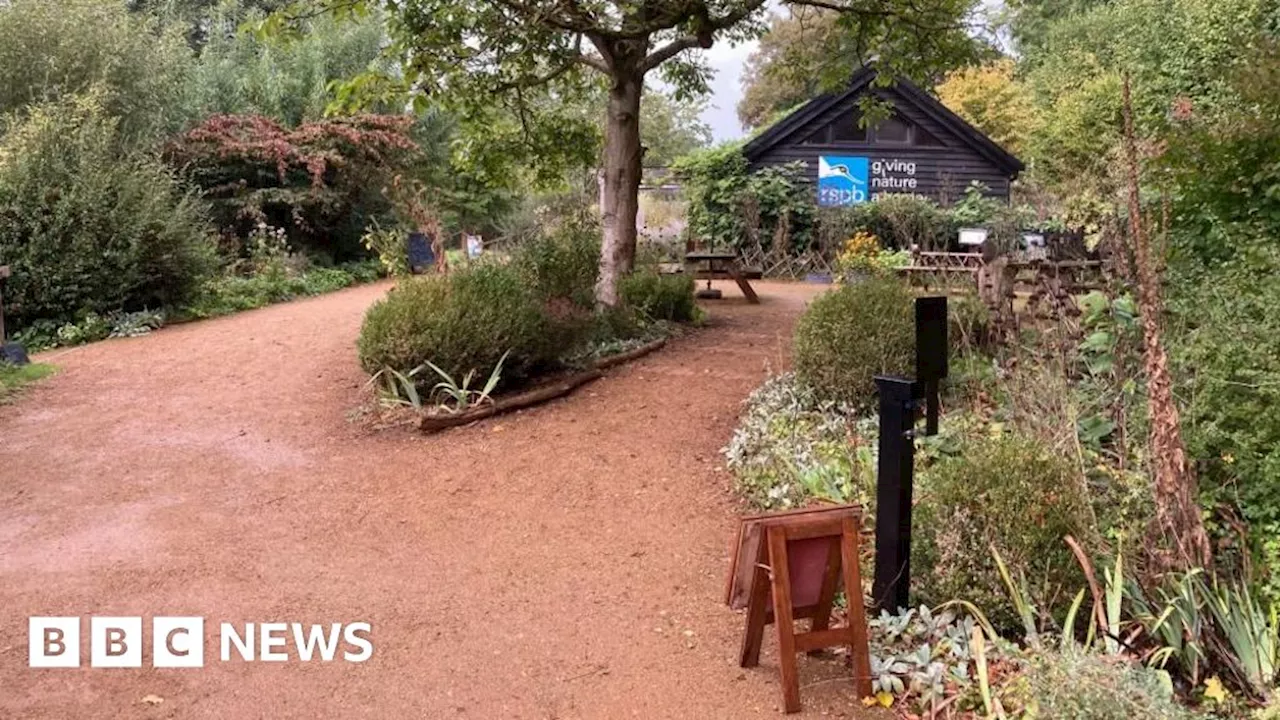 RSPB ponders future of Flatford wildlife garden in Suffolk