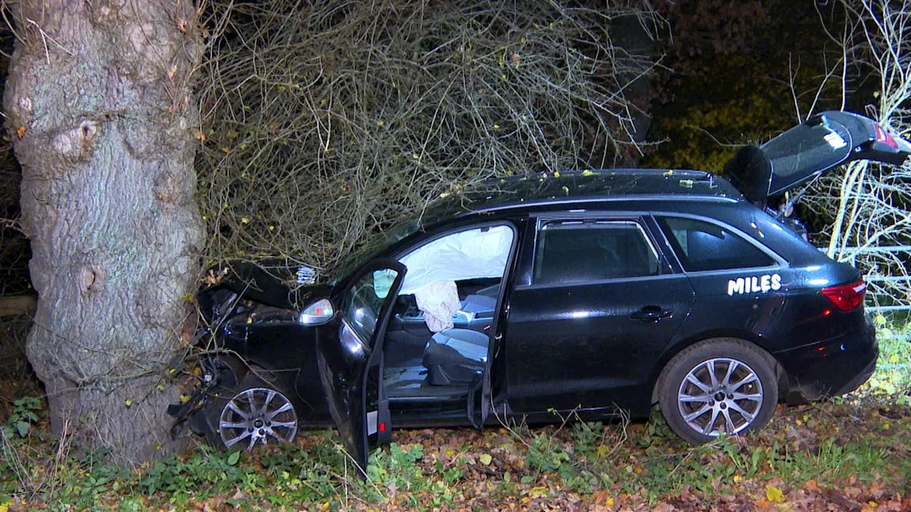 Unfall in Hamburg: Mietwagen-Fahrer rammt Baum und flüchtet