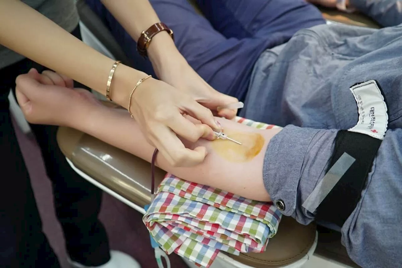 Blood bank launches summer campaign to raise donor numbers