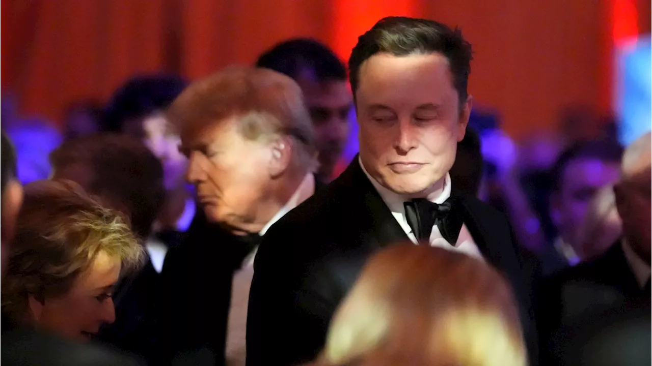 Trump und die „Tech-Bros“ wie Elon Musk: Rechtsruck im Silicon Valley?