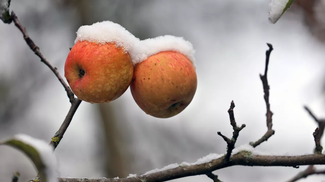 Wetter in Bayern: Winter zieht ein – Schnee angesagt