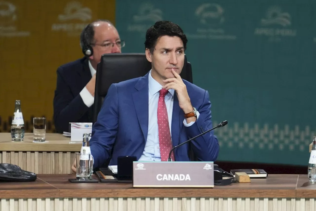 Trudeau says APEC leaders focused on how to trade with Trump administration