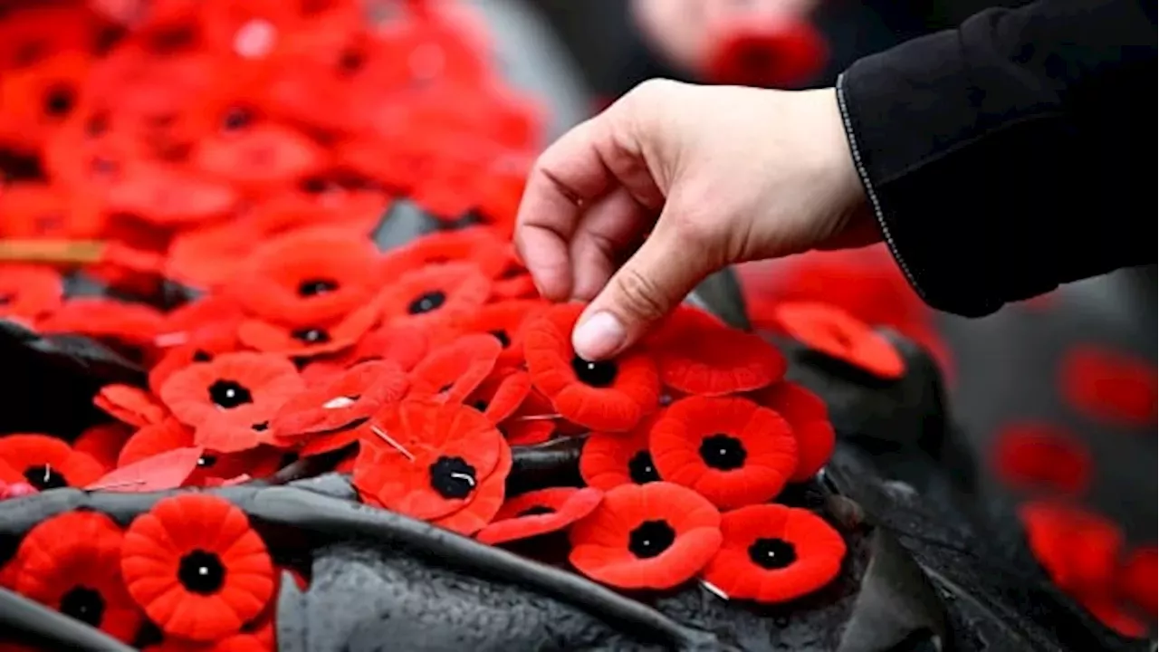 How Remembrance Day and politics collided — and what it means for the future Canada