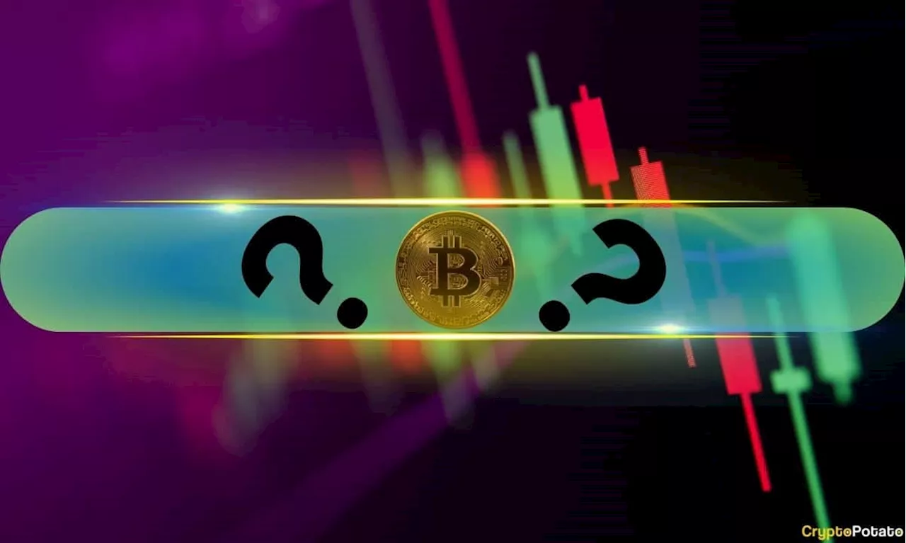 Double Digit Prices Surges From These Altcoins as Bitcoin (BTC) Reclaims $91K (Market Watch)