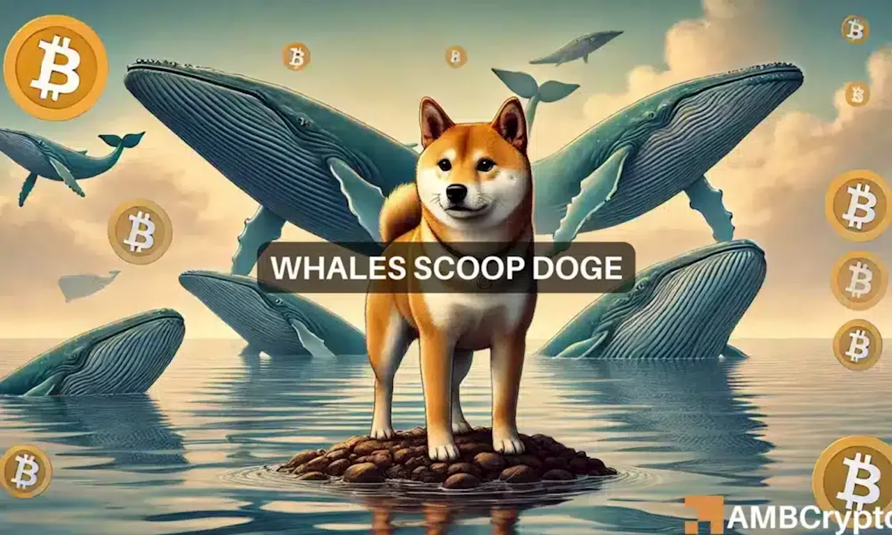 Why Dogecoin’s $56M whale accumulation might NOT help DOGE’s rally