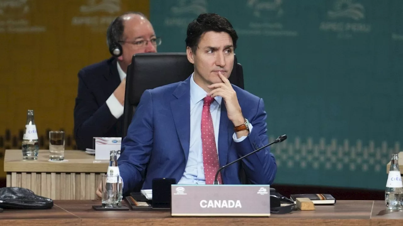 Trudeau says APEC leaders focused on how to trade with Trump administration