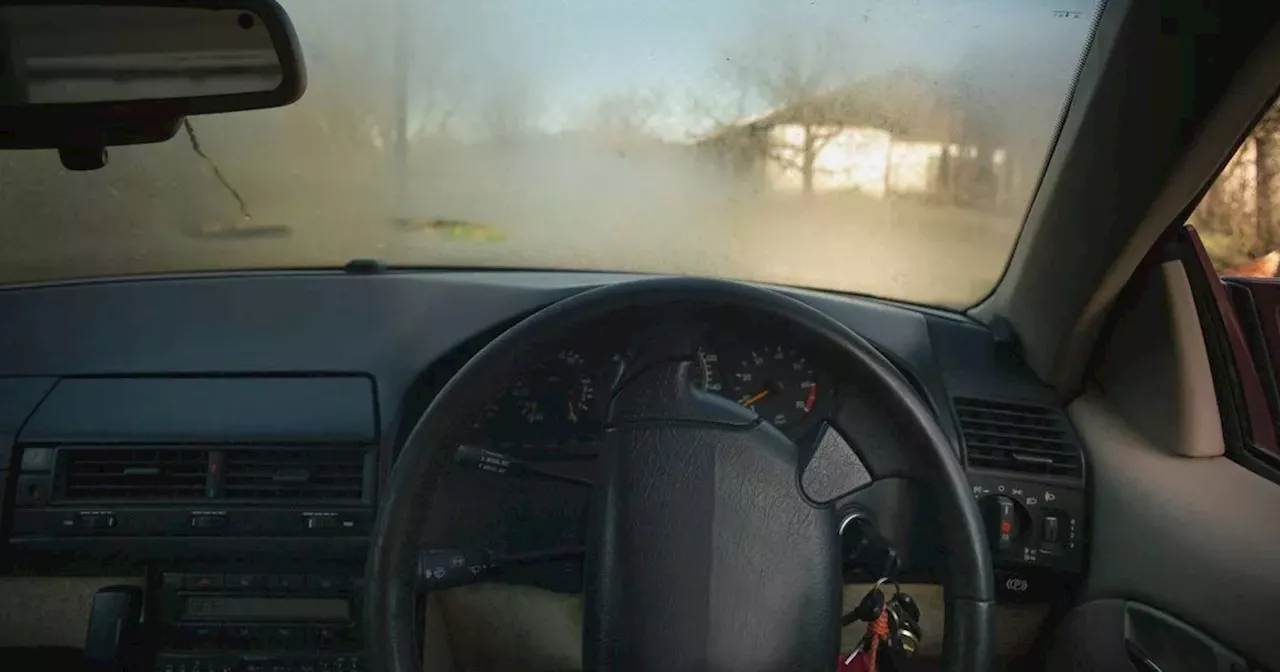 Drivers urged to buy 89p vegetable to help defrost car windscreens