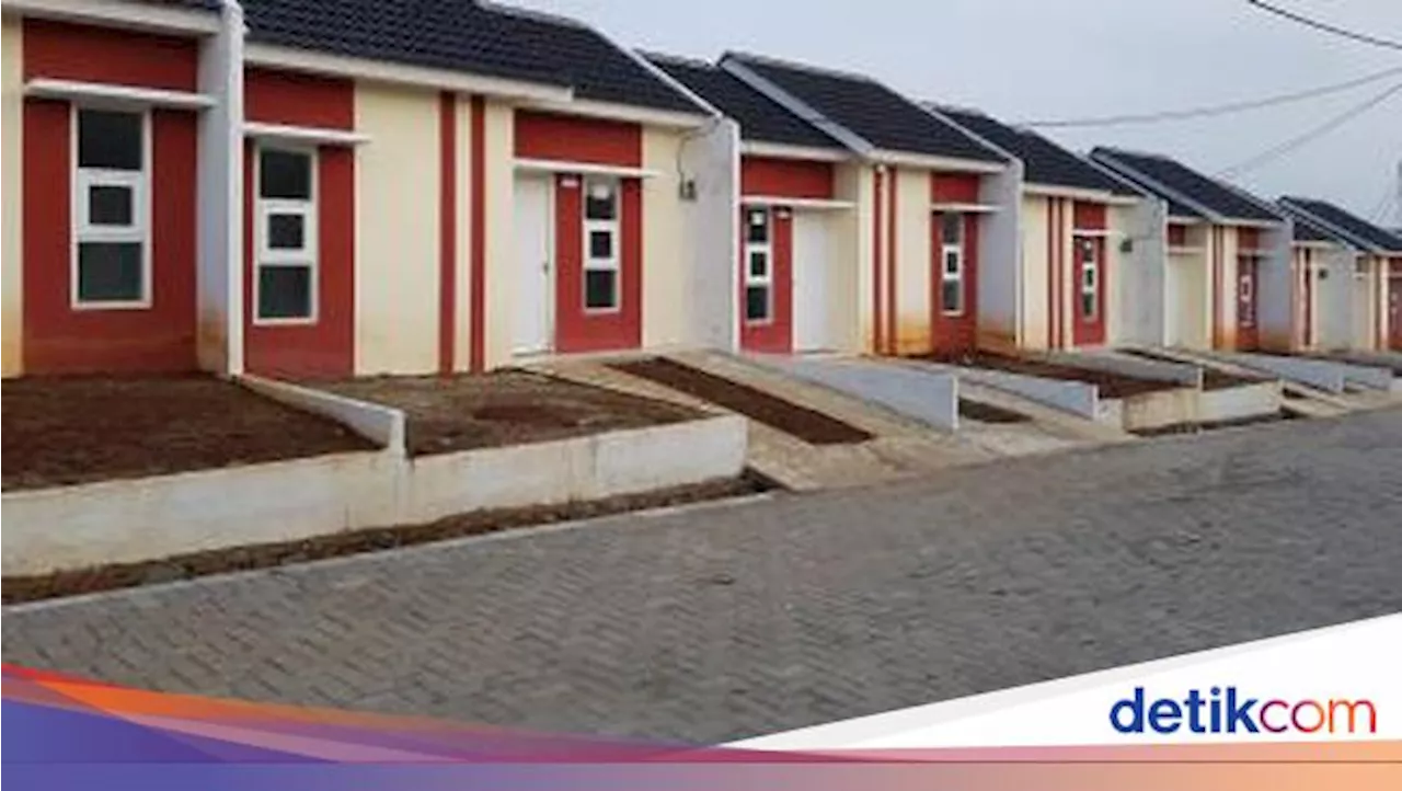 Alasan Asosiasi Pengembang Minta Dilibatkan Bangun 2 Juta Rumah MBR di Desa