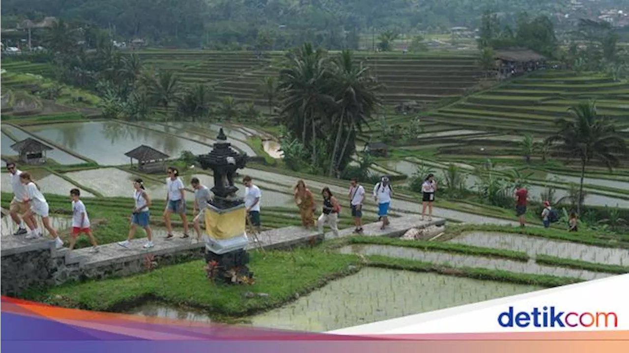 Jatiluwih Bali Jadi Desa Terbaik Dunia 2024 Versi United Nations Tourism