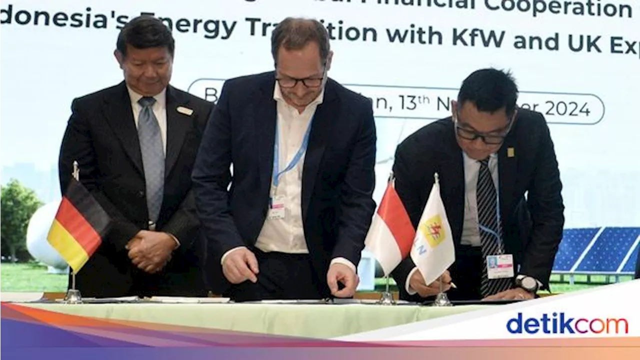 Bank Jerman Dukung Komitmen RI Hijaukan Sektor Energi