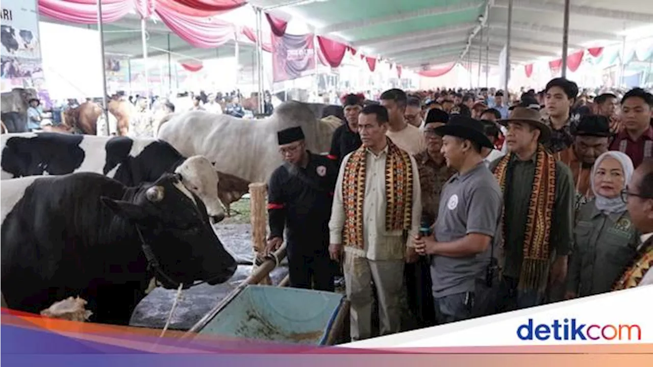 Mentan Amran Respons Cepat Keluhan Peternak Lampung soal Harga Daging Sapi