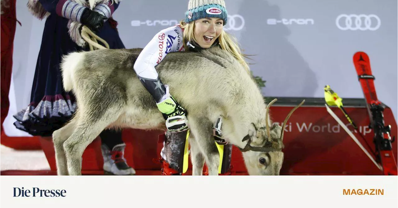 Rentiere für Rennsieger: Herde von Mikaela Shiffrin bekommt Zuwachs