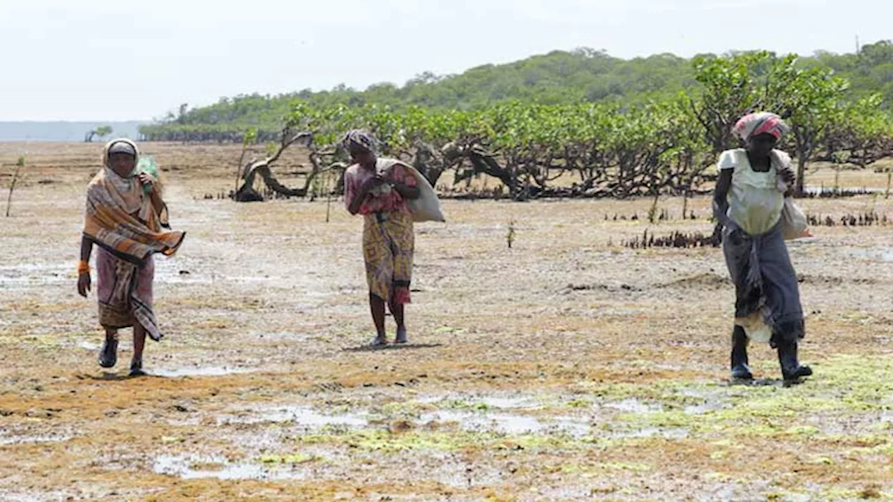 After missing school due to extreme heat, African children push for climate action