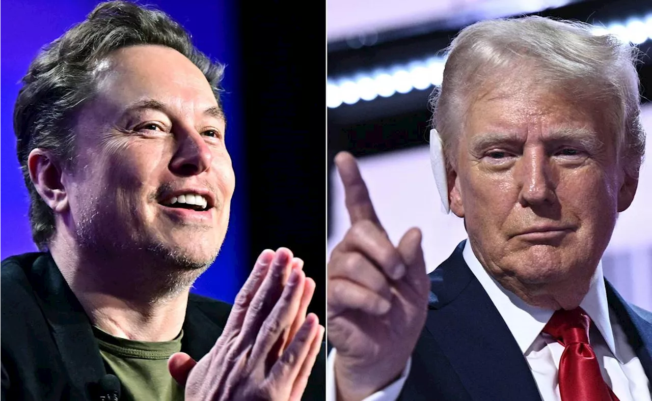 Musk propone que Trump permita opinar al público sobre quién debe dirigir el Tesoro; respalda a Howard Lutnick