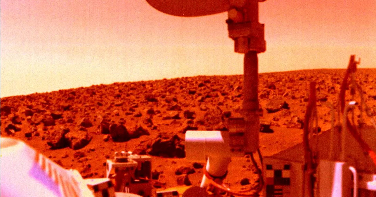 Scientist Says NASA Lander May Have Accidentally Killed Life on Mars