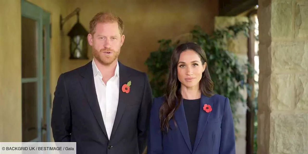 Meghan Markle et Harry aux abois : leur plan B s’ils sont expulsés des États-Unis