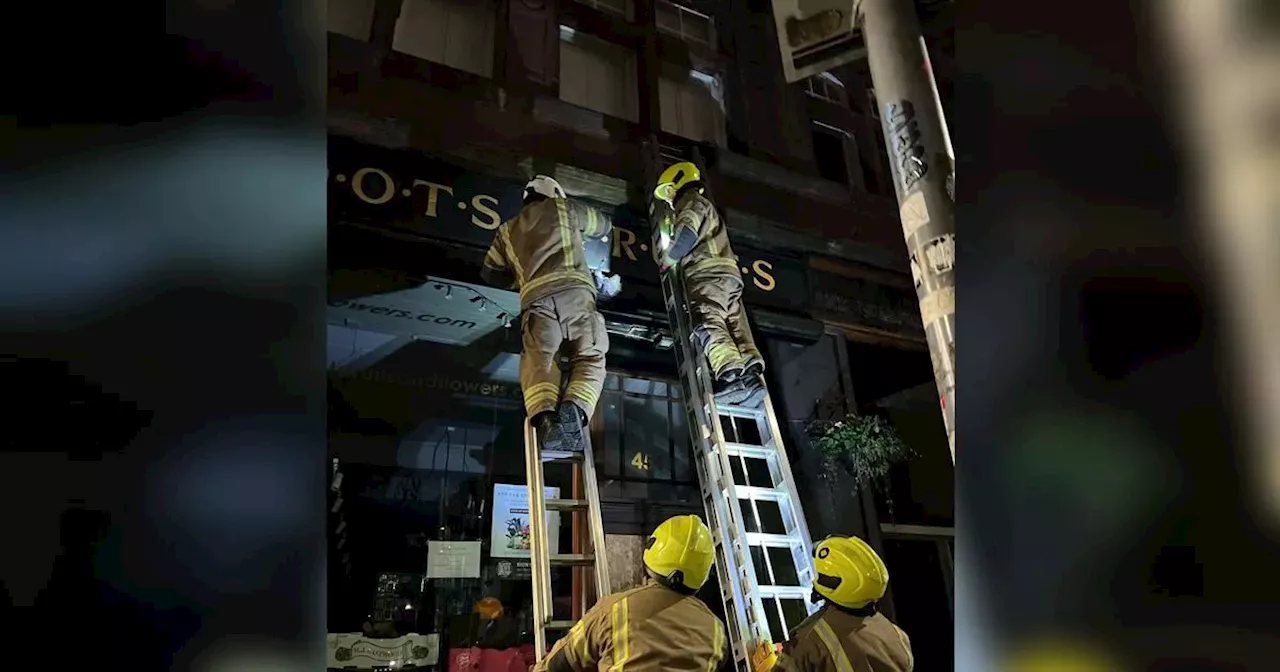 Helpless Glasgow pigeon trapped on west end shopfront rescued by firefighters