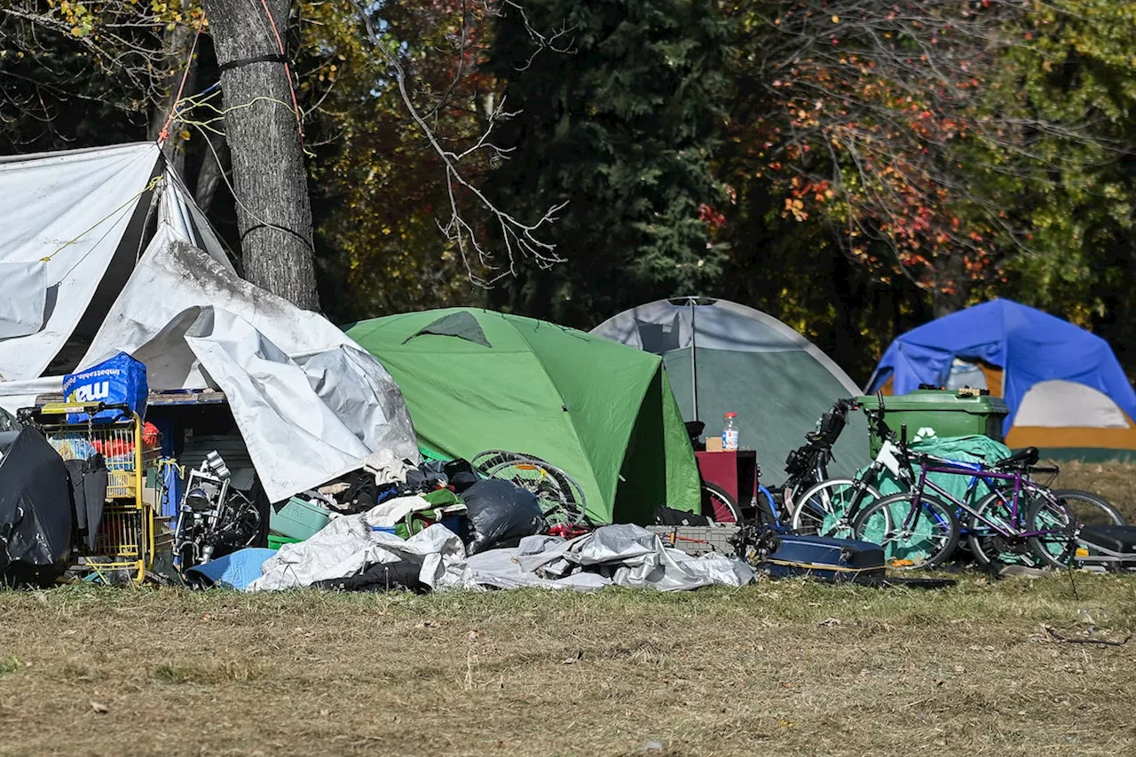 Two Montreal city councillors table motion to declare state of emergency on homelessness