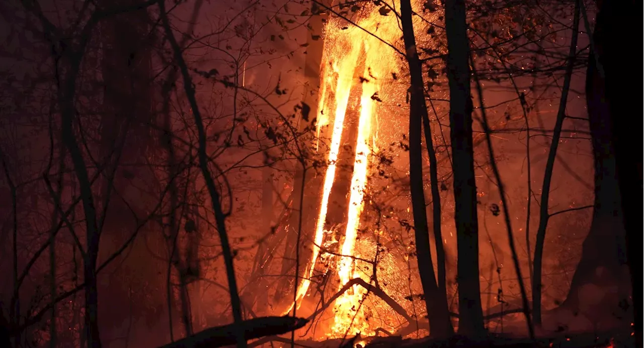 Red flag warning throughout NYC region as historic drought brings threat of more fire