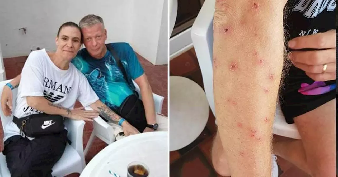 Hotel's wild explanation as guests at Irish hotspot hit by bed bug 'plague'