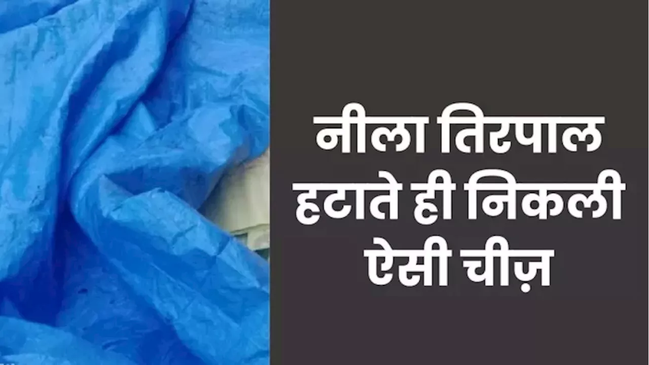 फर्राटा भरते हुए जा रही थी तिरपाल से लदी पिकअप, किसी ने पुलिस को दे दी सूचना- तुरंत कर दी सीज