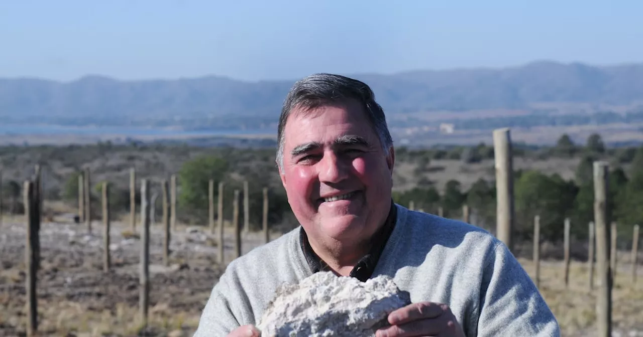Dejó una multinacional y convirtió su pasión por el vino en un negocio rentable