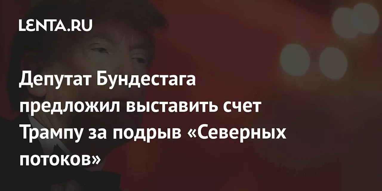 Депутат Бундестага предложил выставить счет Трампу за подрыв «Северных потоков»