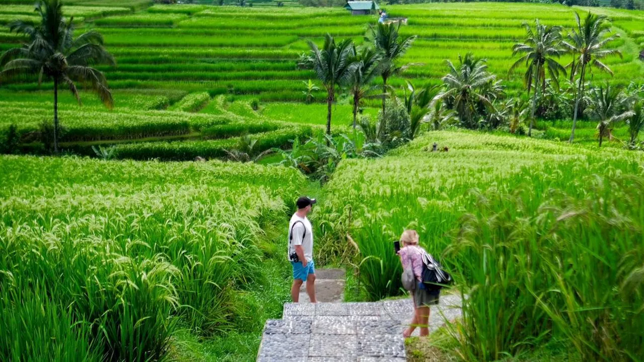 Desa Wisata Jatiluwih dan Wukirsari Sabet Gelar Best Tourism Village 2024 dari UN Tourism