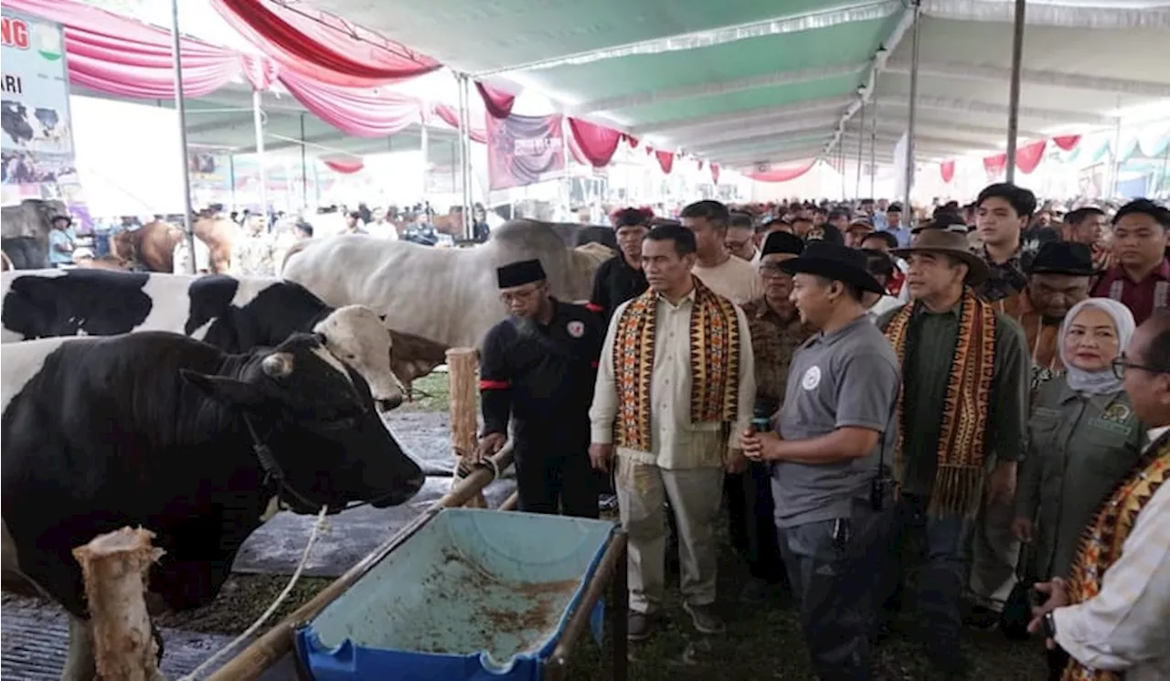 Harga Daging Sapi Anjlok, Mentan Amran Janji Lindungi Peternak Lokal