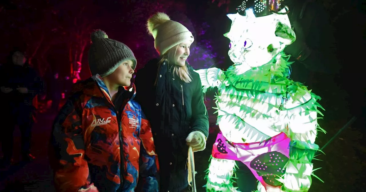 Majestic festive light trail arrives in Tatton Park with curious animal puppets