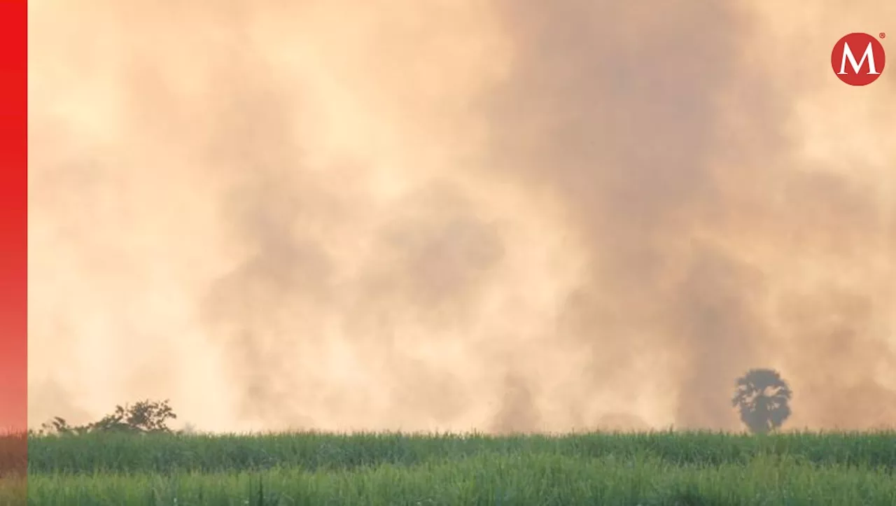 Incendios forestales han afectado más de cuatro mil hectáreas en Hidalgo