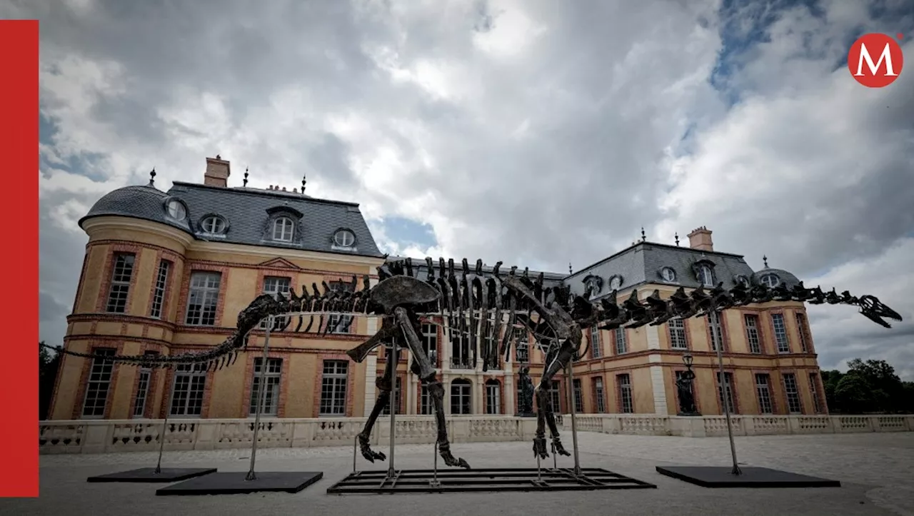 Subastan en más de 6.3 mdd el esqueleto gigante de un dinosaurio en Francia