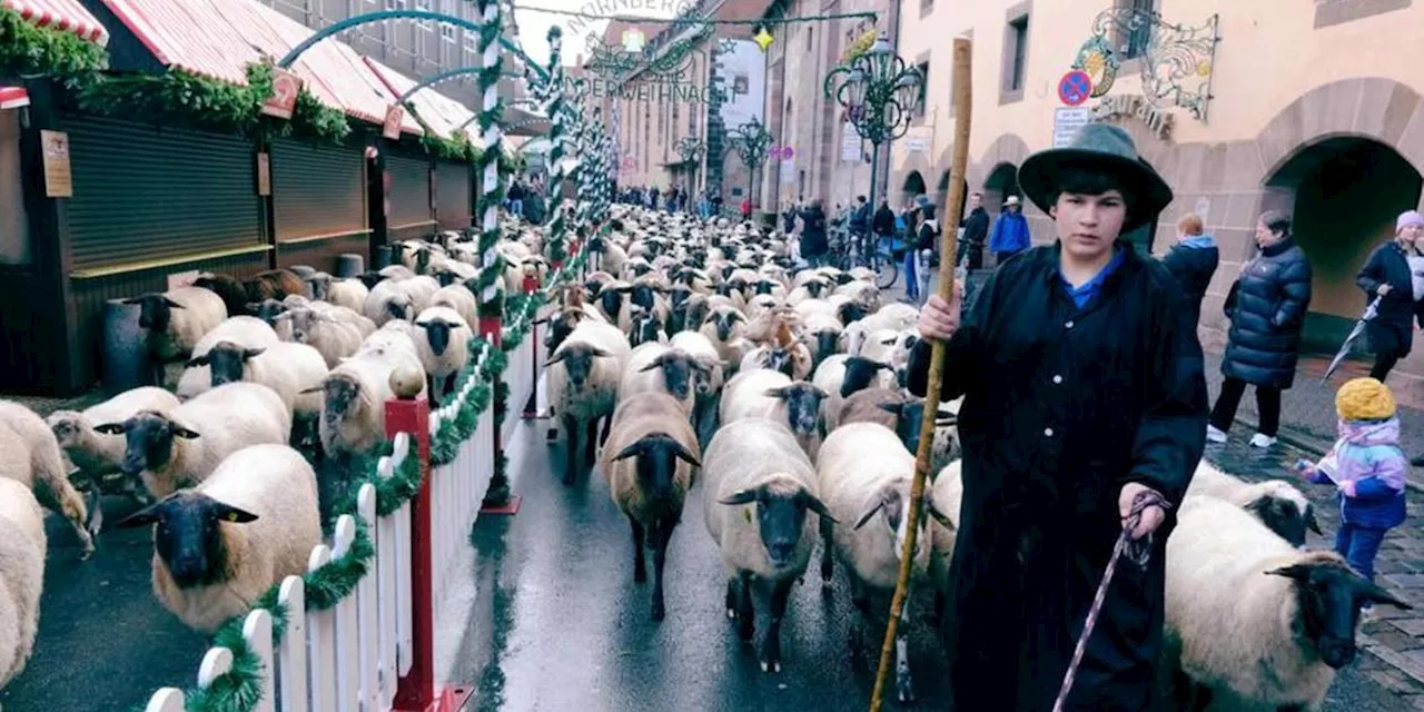 Hunderte Schafe ziehen &uuml;ber den N&uuml;rnberger Hauptmarkt