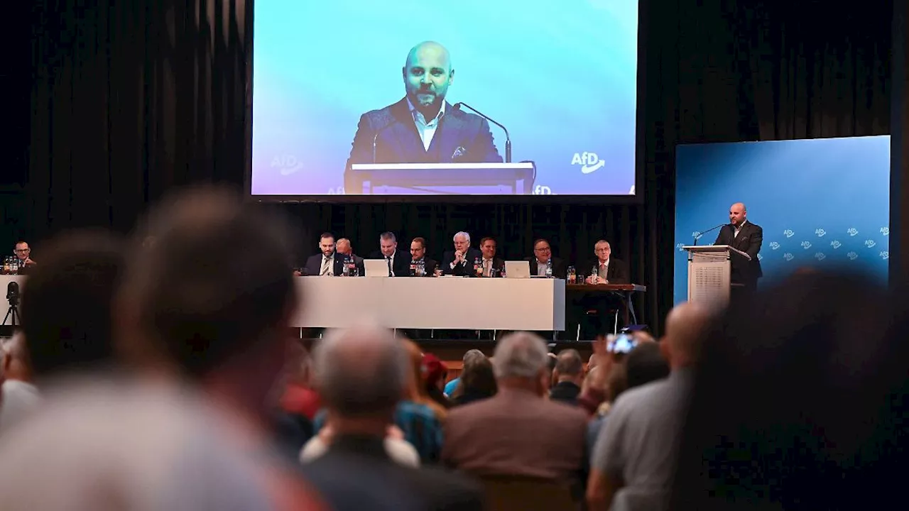 Baden-Württemberg: Südwest-AfD will weniger Chaos, mehr Ordnung