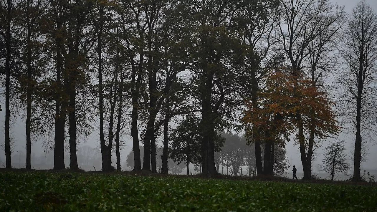 Niedersachsen & Bremen: Regen und sinkende Temperaturen in Niedersachsen und Bremen