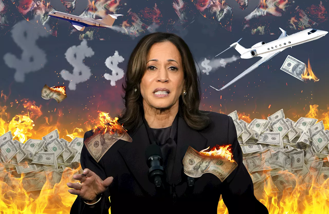 Harris' campaign blew $2.6M on private jets in final weeks of campaign