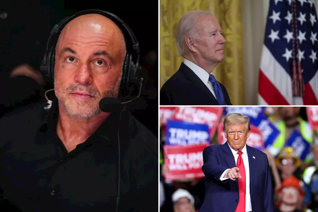 Joe Rogan 'guarantees Biden voted for Trump': Prez has 'never been happier in his life'