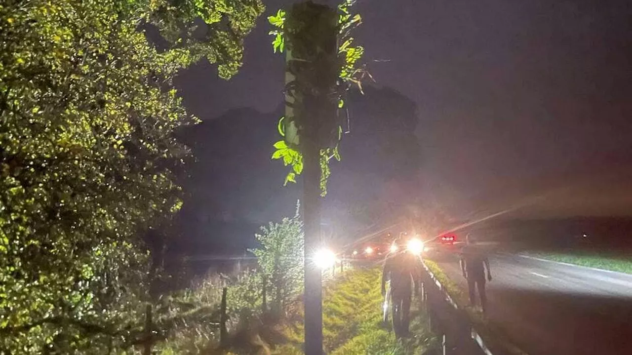 Avant les manifestations agricoles, les Jeunes agriculteurs de l’Eure végétalisent des radars