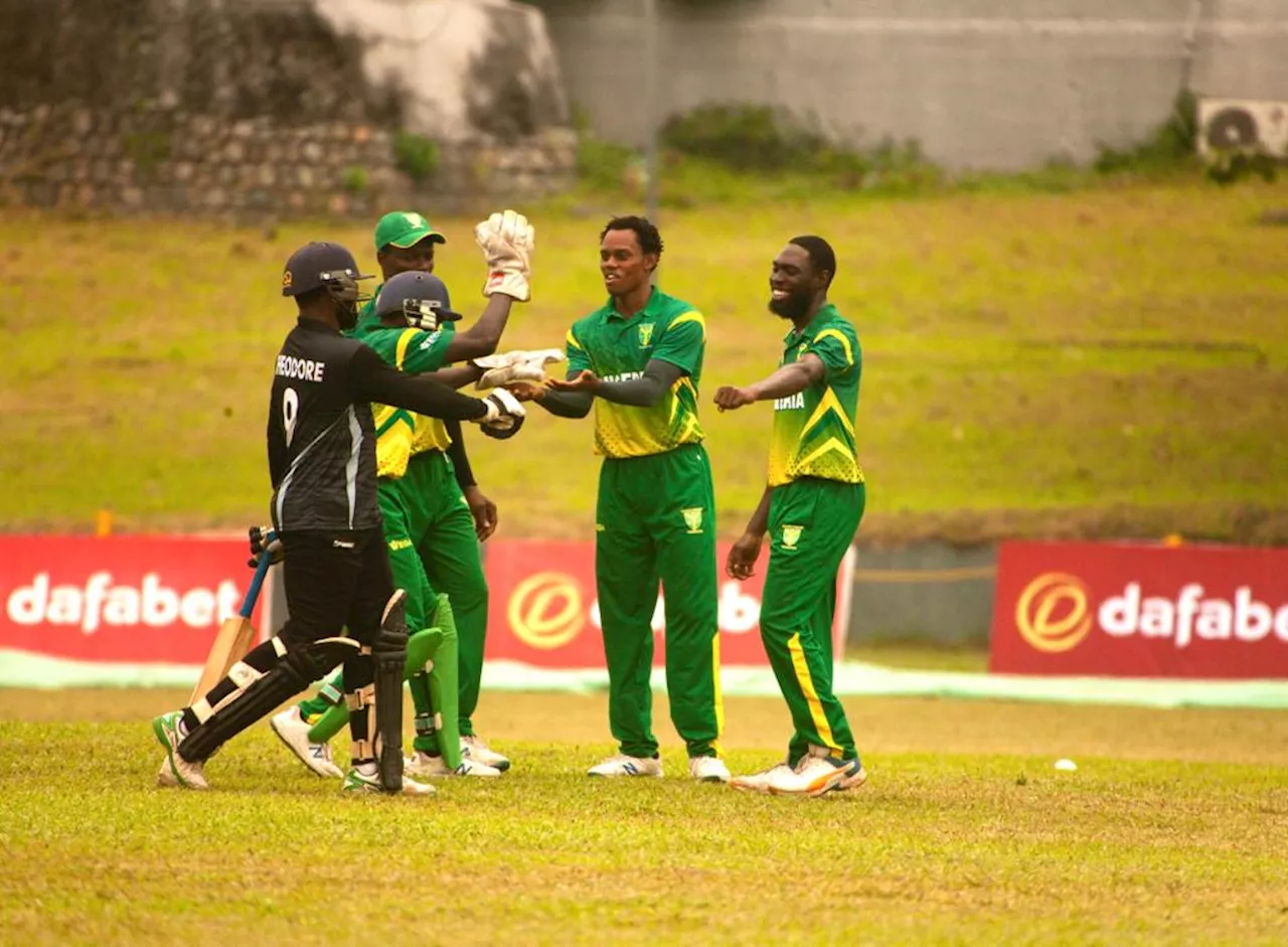 Cricket World Cup Qualifiers: Nigeria’s facilities, cricket prowess will be tested, Akpata says