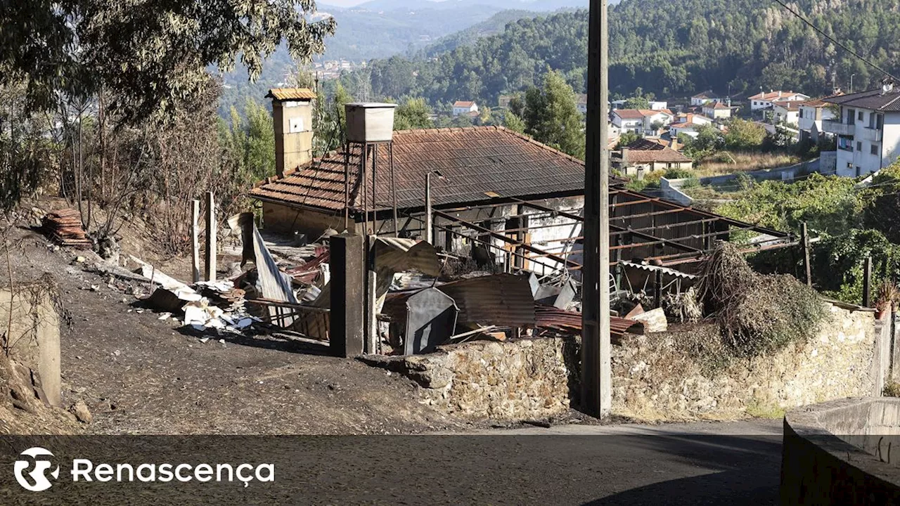 Incêndios. Mais de 900 agricultores do Norte declaram prejuízos de 3,6 milhões