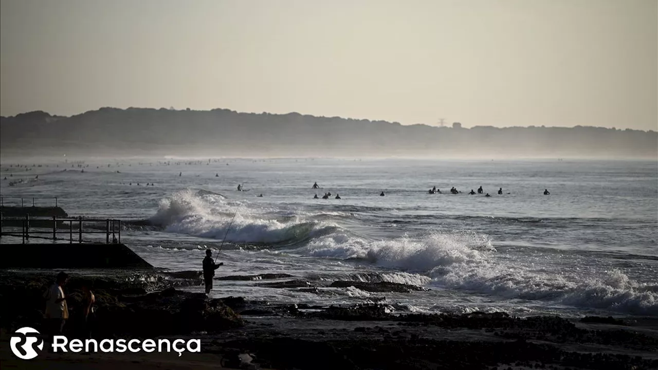 Investigadores apelam a que Lei de Restauro da Natureza 'não deixe o mar para trás'