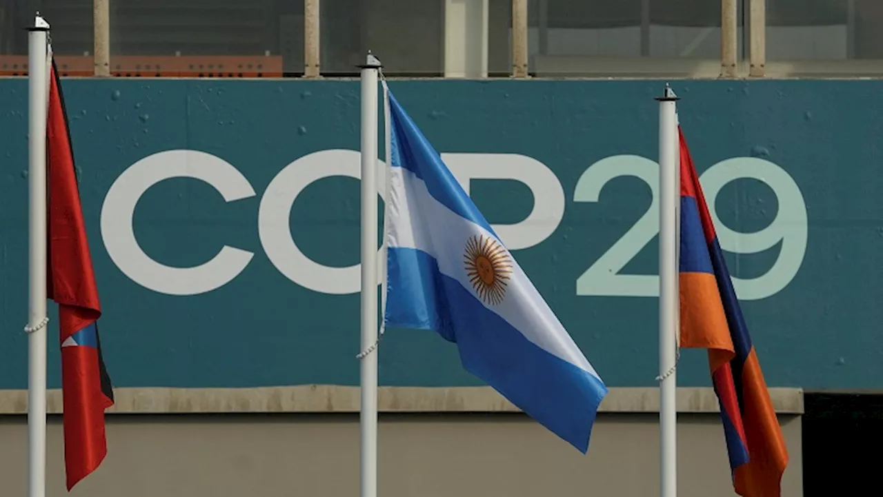 COP29 in Baku focuses on financing and adaptation - SABC News - Breaking news, special reports, world,