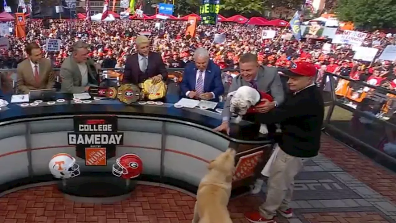 Georgia's Uga and Ben's Brother Peter Herbstreit Had Cute Moment on 'College GameDay'